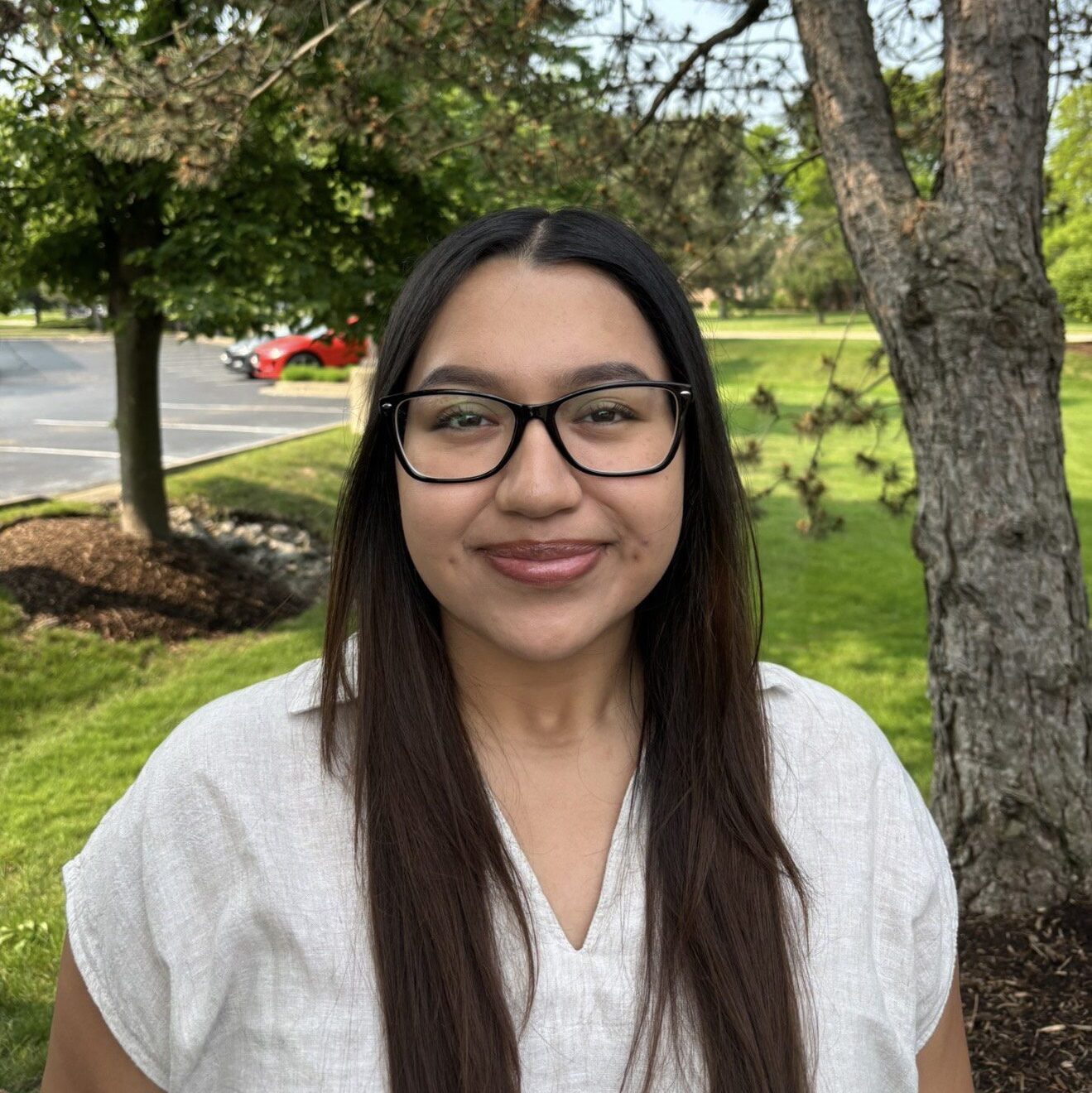 Image of green leaves
